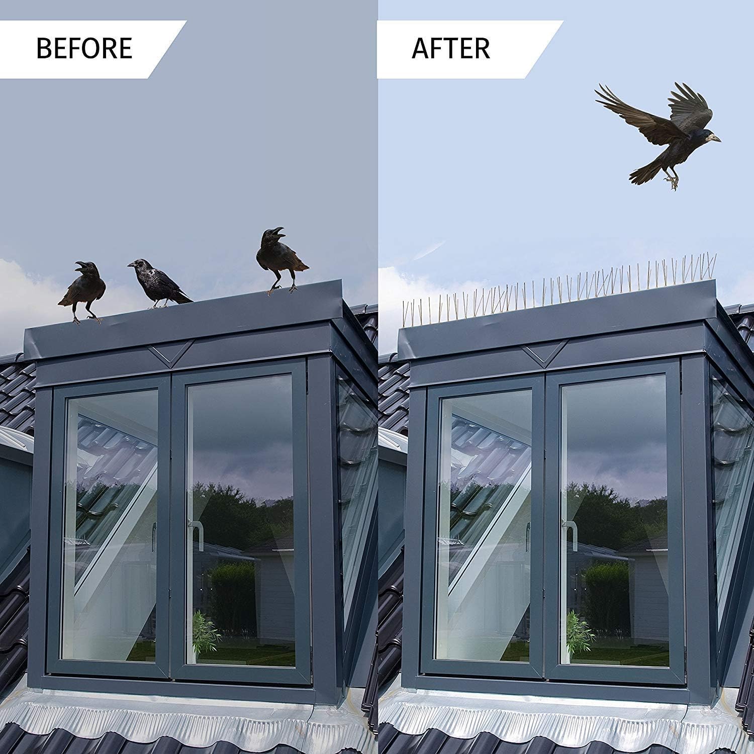 Bird Repellent Spikes